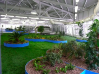 /album/repino2/picture-30-png1/